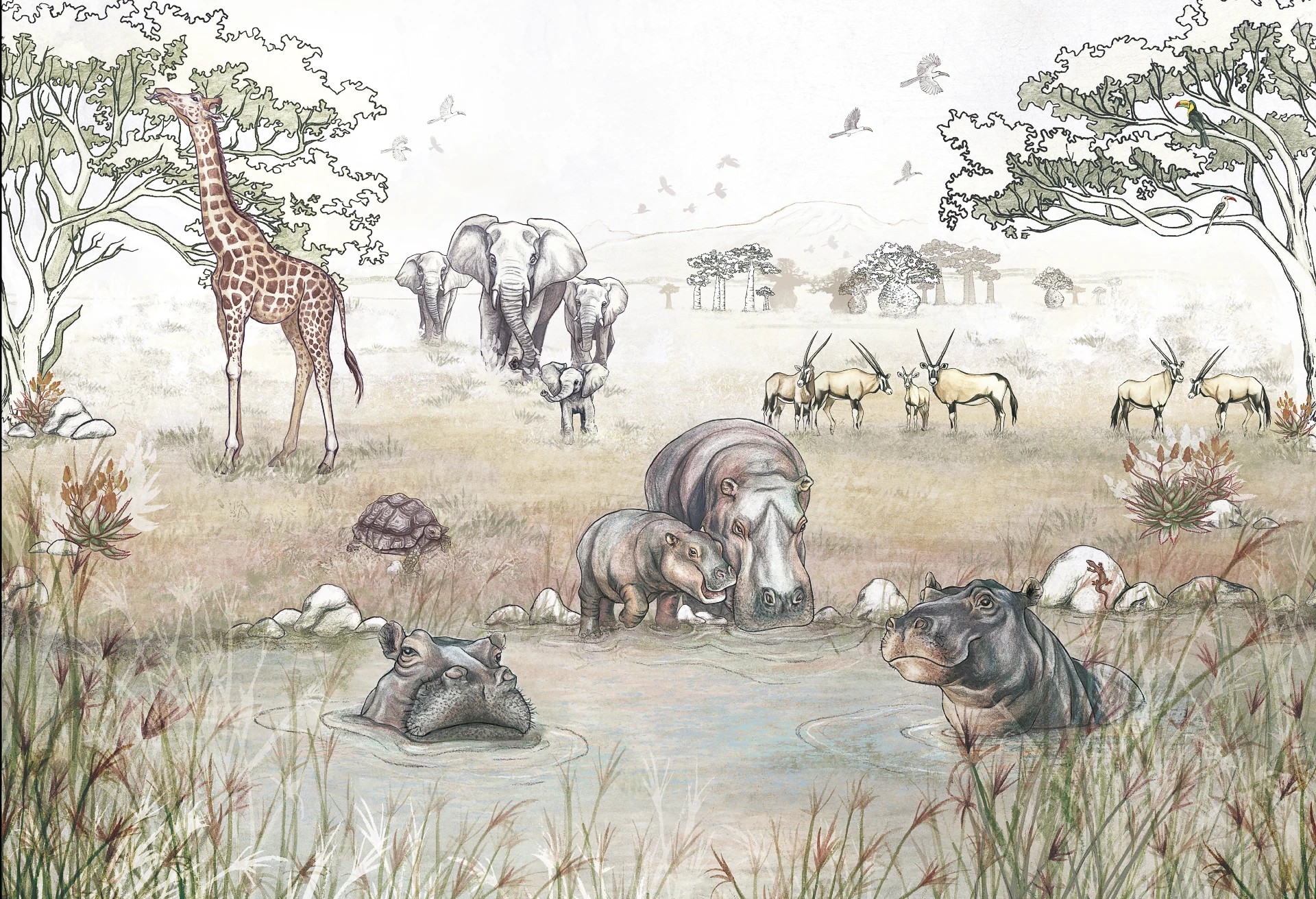 SAWANNA - vivid- Tapeta dziecięca z motywem sawanny