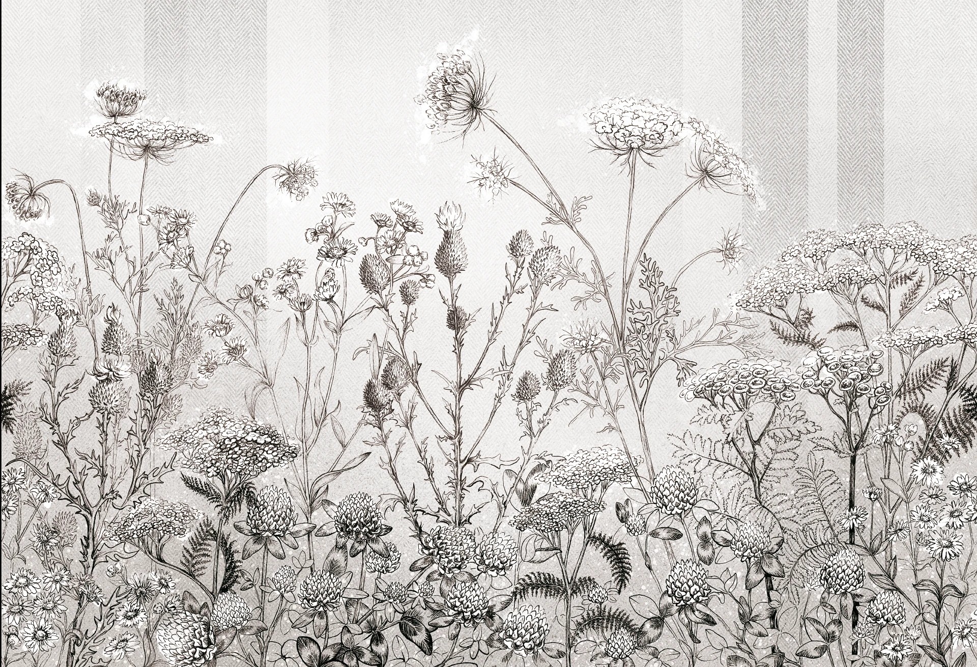 CLOVER - grey - tapeta do jadalni z łąką kwiatów