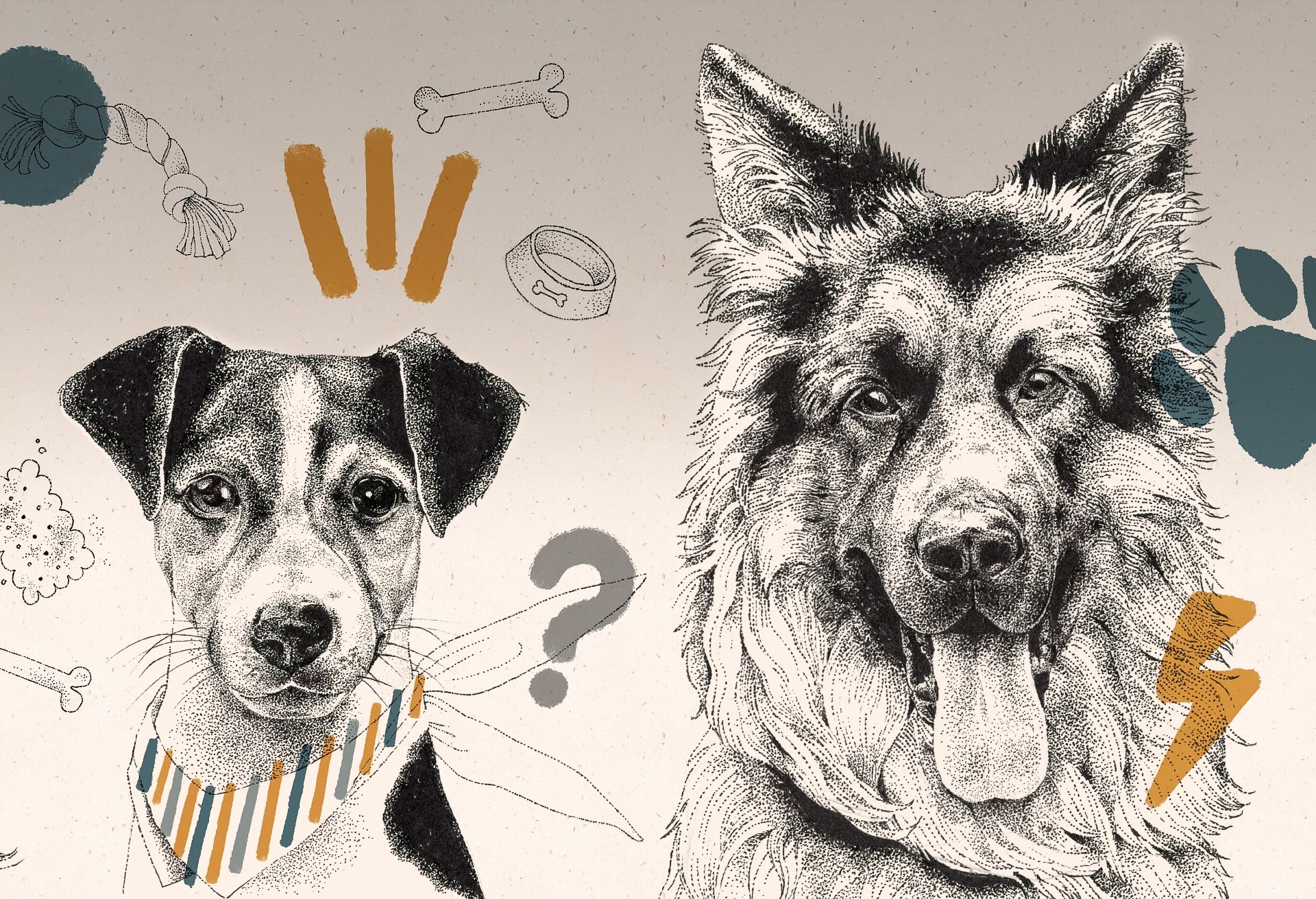 DOGGIES - mustard - tapeta do pokoju dla chłopca z rasami psów