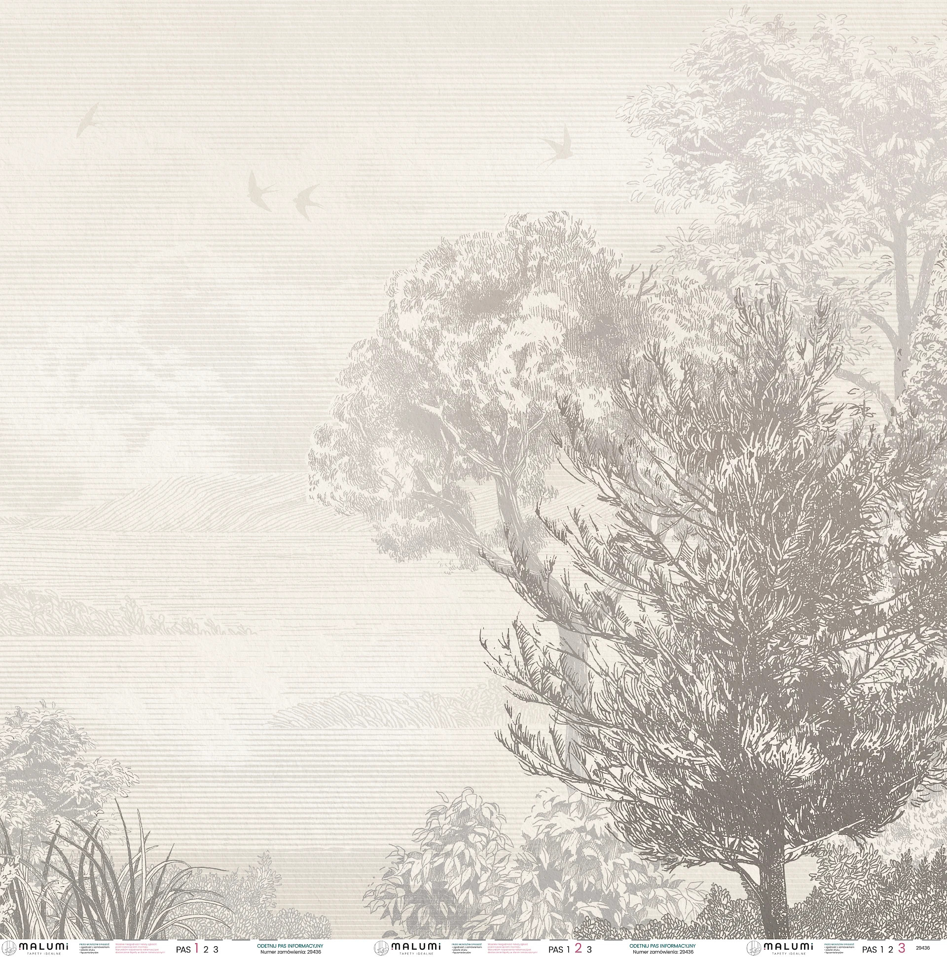 COSTA - beige - 267cm x 265 cm - tapeta idealna do salonu