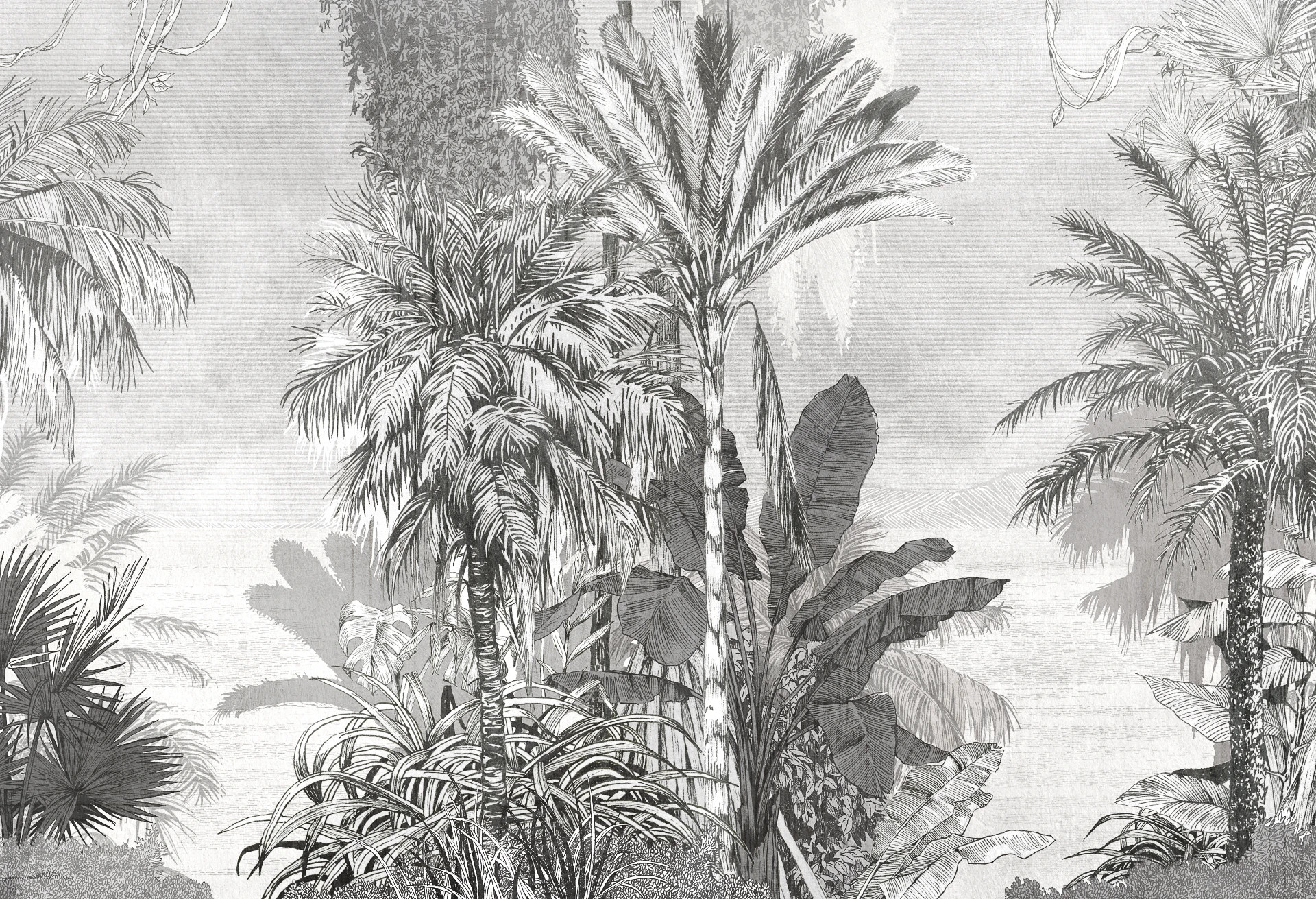 BORNEO - black - tropikalna tapeta z palmami i egzotycznym krajobrazem