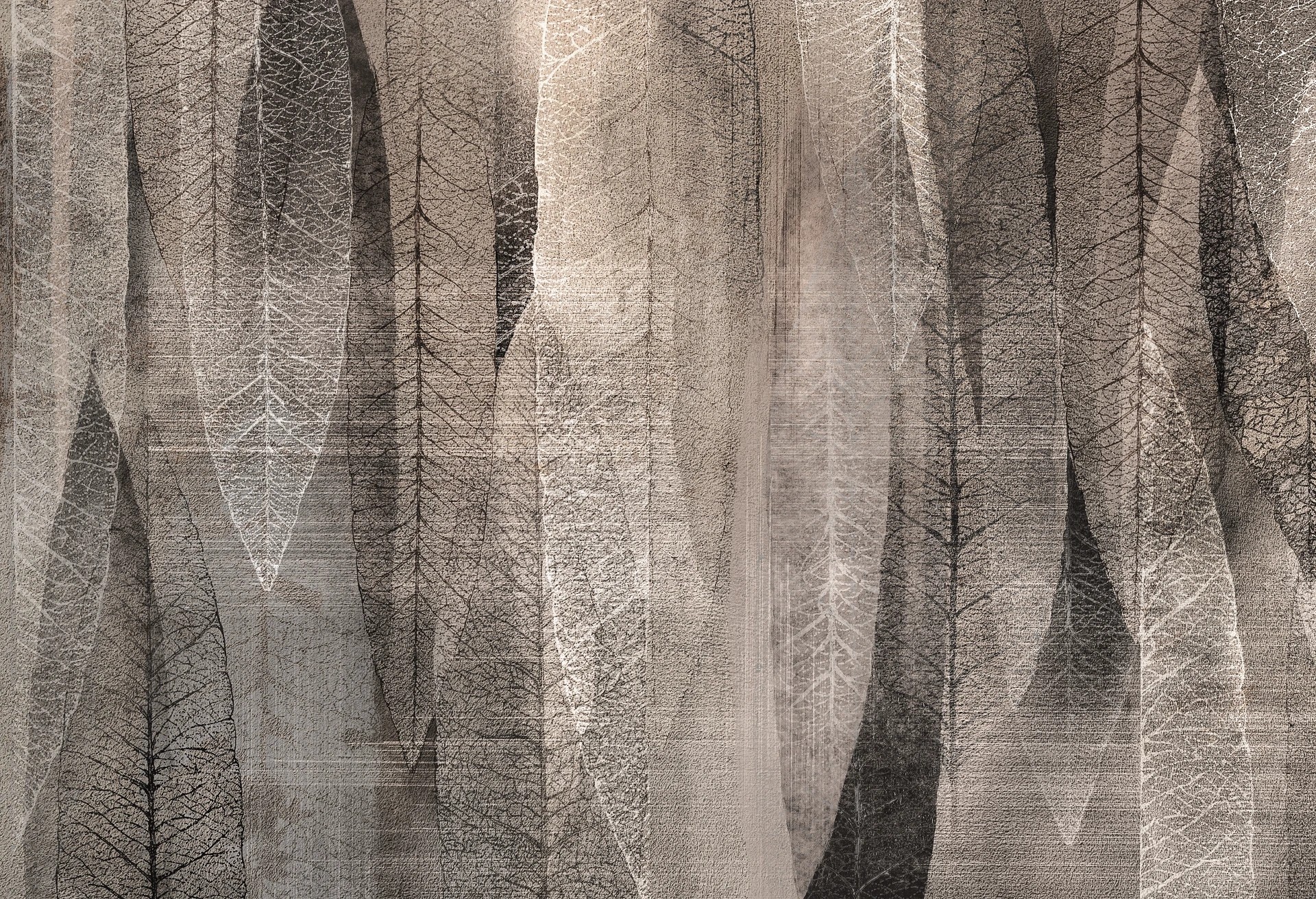 EUKALIPTUS - cocoa - minimalistyczna tapeta w liście